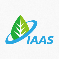 IAAS